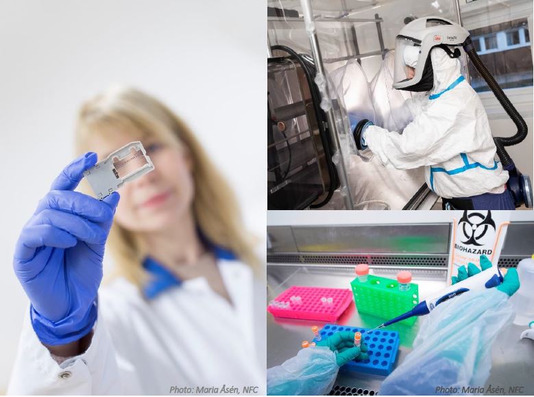 Lab work