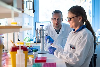 Gloves holding a delicate sample