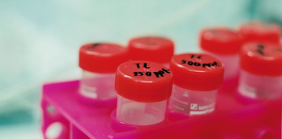 Testtubes in lab